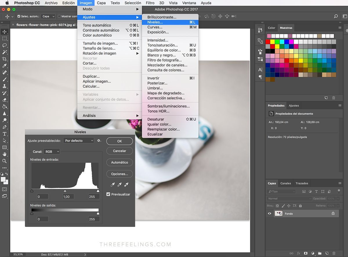 ¿Qué se puede hacer con Photoshop? - We School