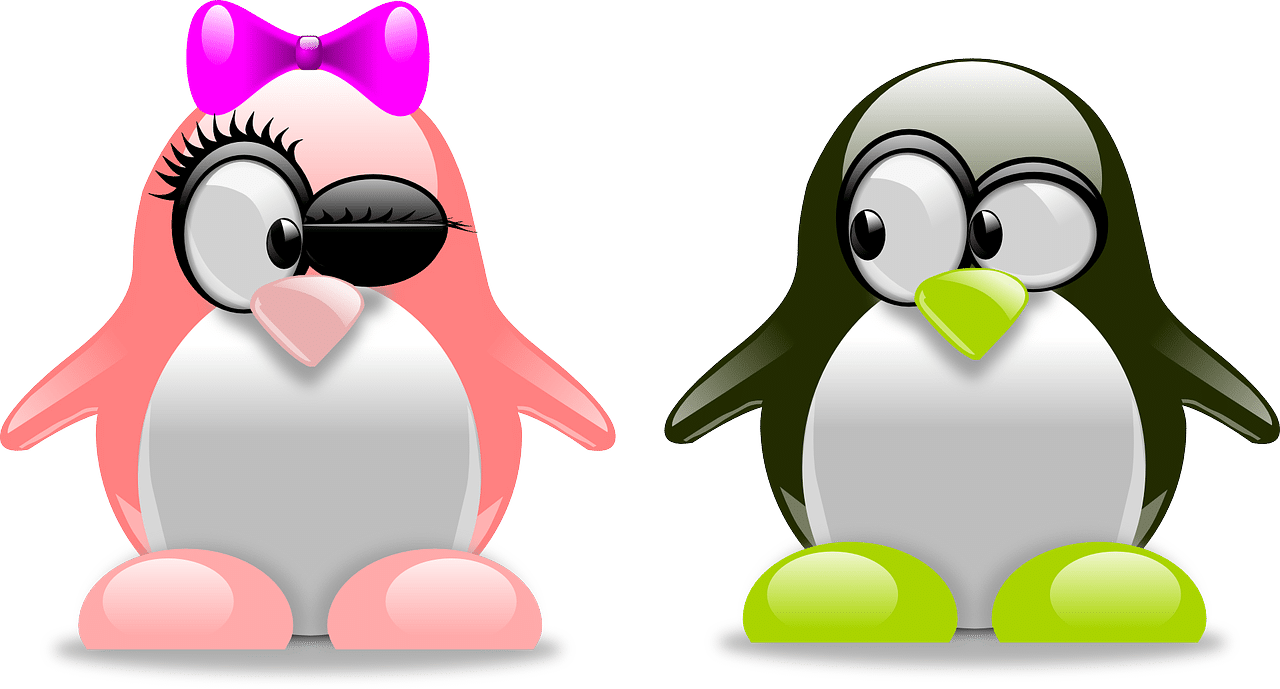 ¿Cómo se llama la mascota de Linux? - We School