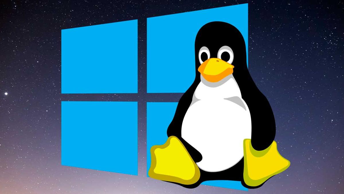 ¿Qué programas corre Linux? - We School
