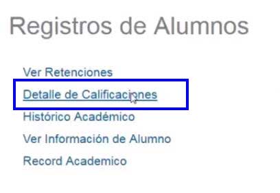 detalle de calificaciones en registro de alumno